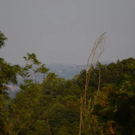 Bed & Breakfast Il Fico *